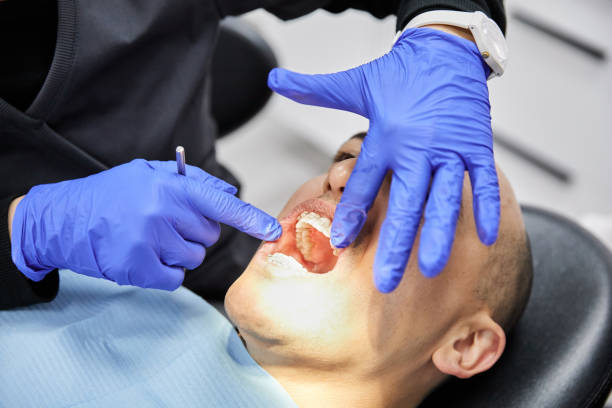 Best Emergency Orthodontic Repairs in Elwood, UT